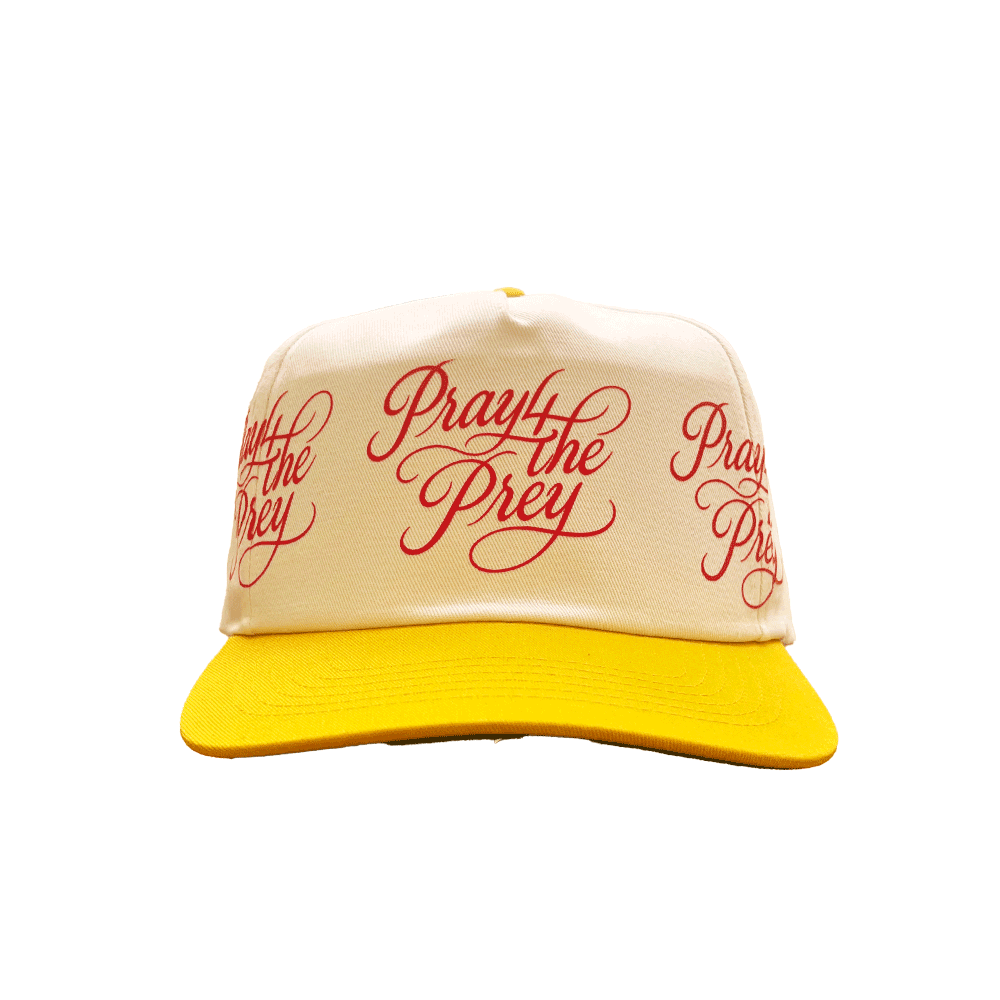 Scripted Logo SnapBack
