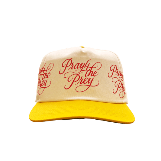 Scripted Logo SnapBack